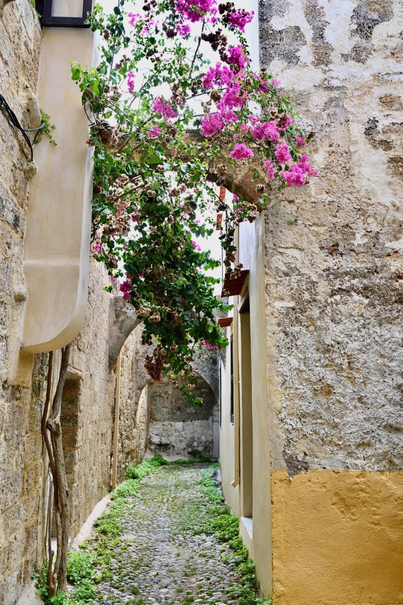 Penelope Garden House Old Town Leilighet Rhodes City Eksteriør bilde